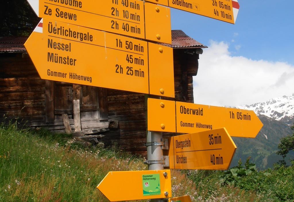 Hotel Grimsel Obergesteln Экстерьер фото