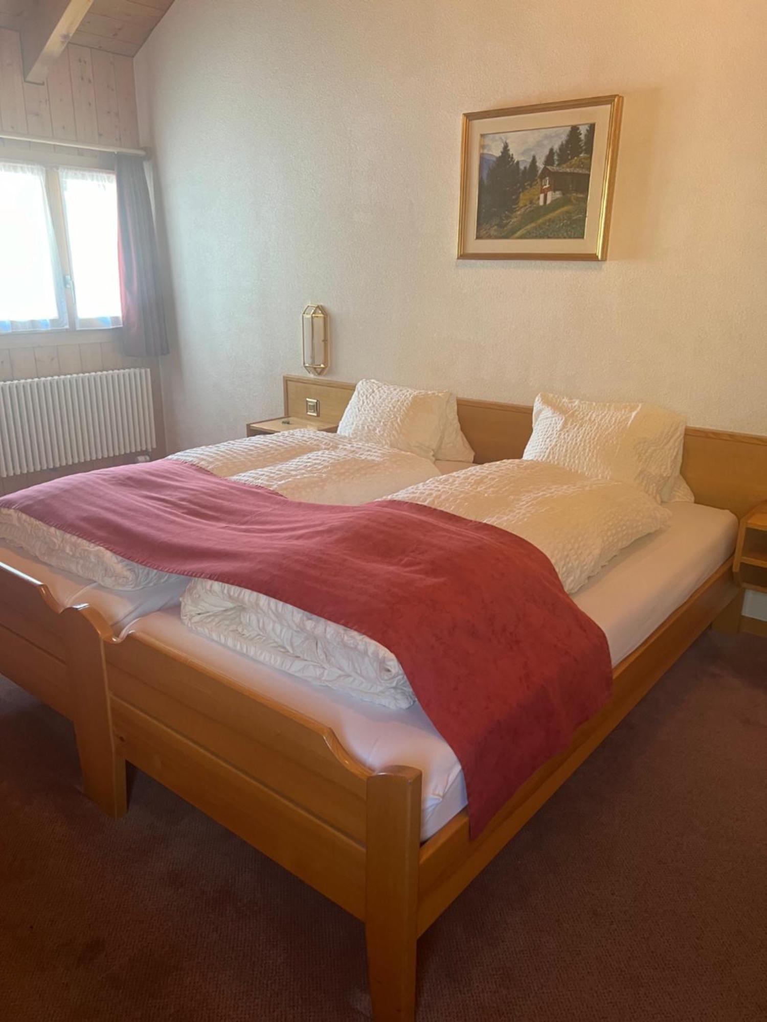 Hotel Grimsel Obergesteln Экстерьер фото