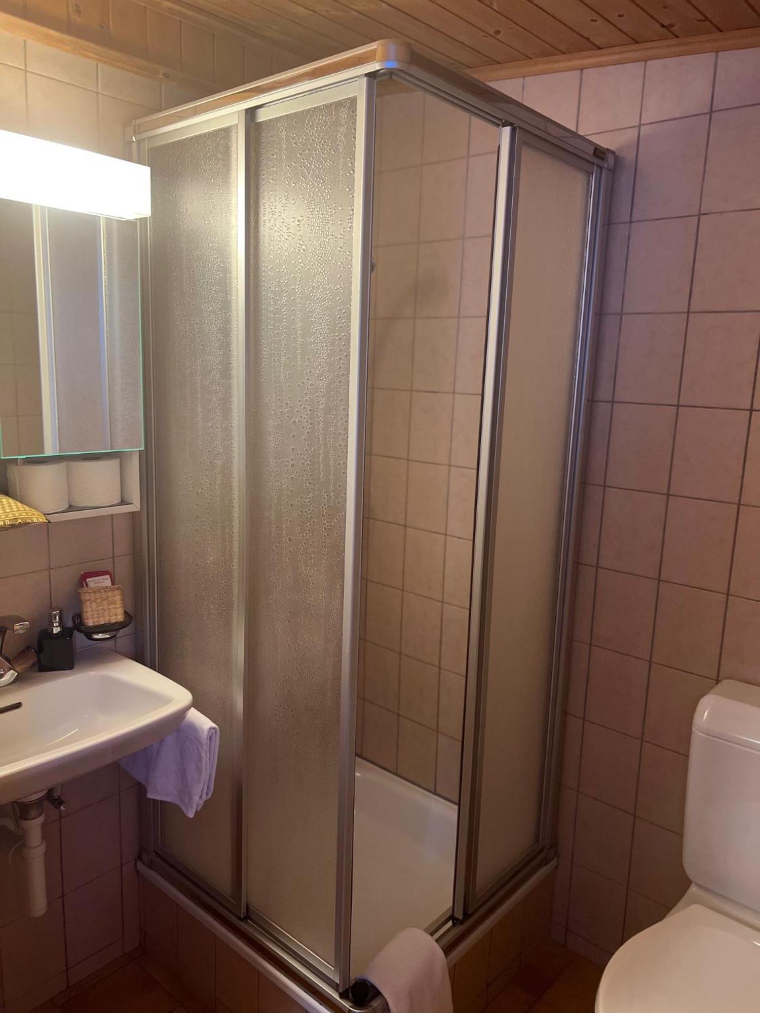Hotel Grimsel Obergesteln Экстерьер фото