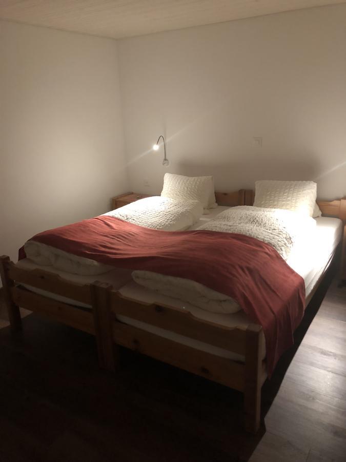 Hotel Grimsel Obergesteln Экстерьер фото