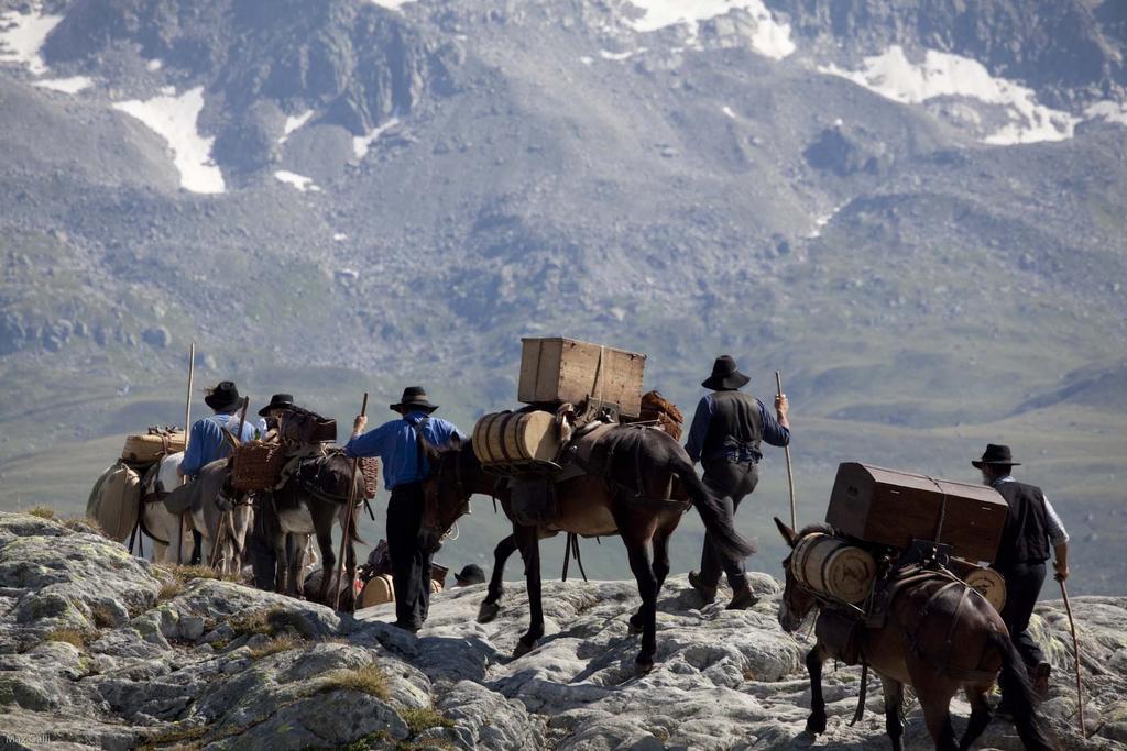Hotel Grimsel Obergesteln Экстерьер фото
